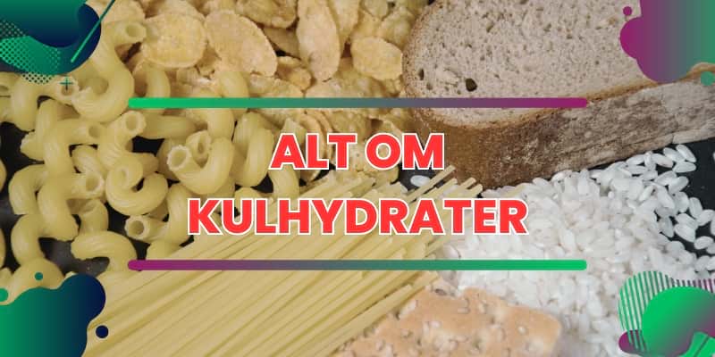 Artiklen alt om kulhydrater.